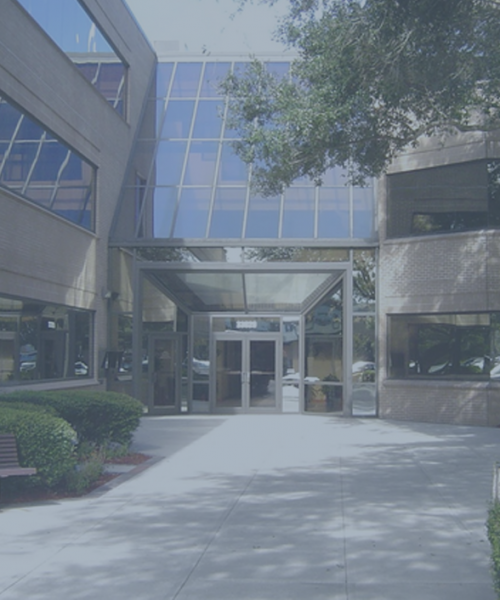 evolve health palm harbour